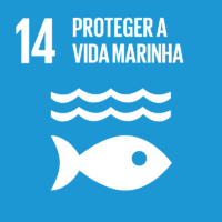Conservar e usar de forma sustentável os oceanos, mares e os recursos marinhos para o desenvolvimento sustentável