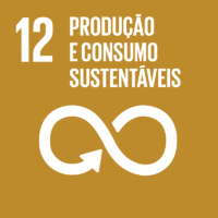 Garantir padrões de consumo e de produção sustentáveis